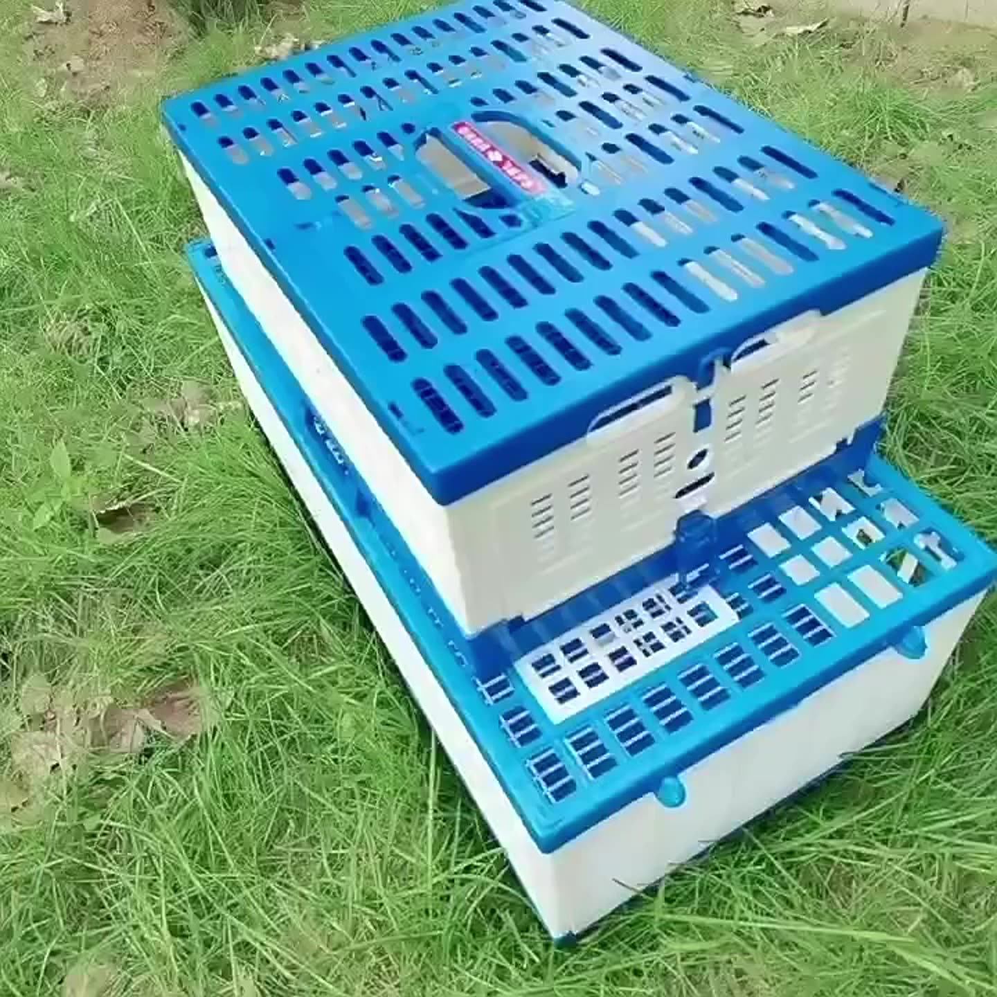 Birds Carrier Crate Three Doors Pigeon Cage Foldable Plastic