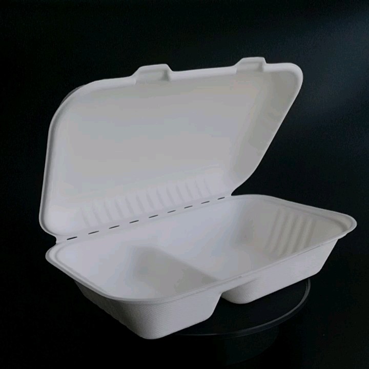 Biodegradable Recycled Food Packaging Take Away Box With 2 Compartment