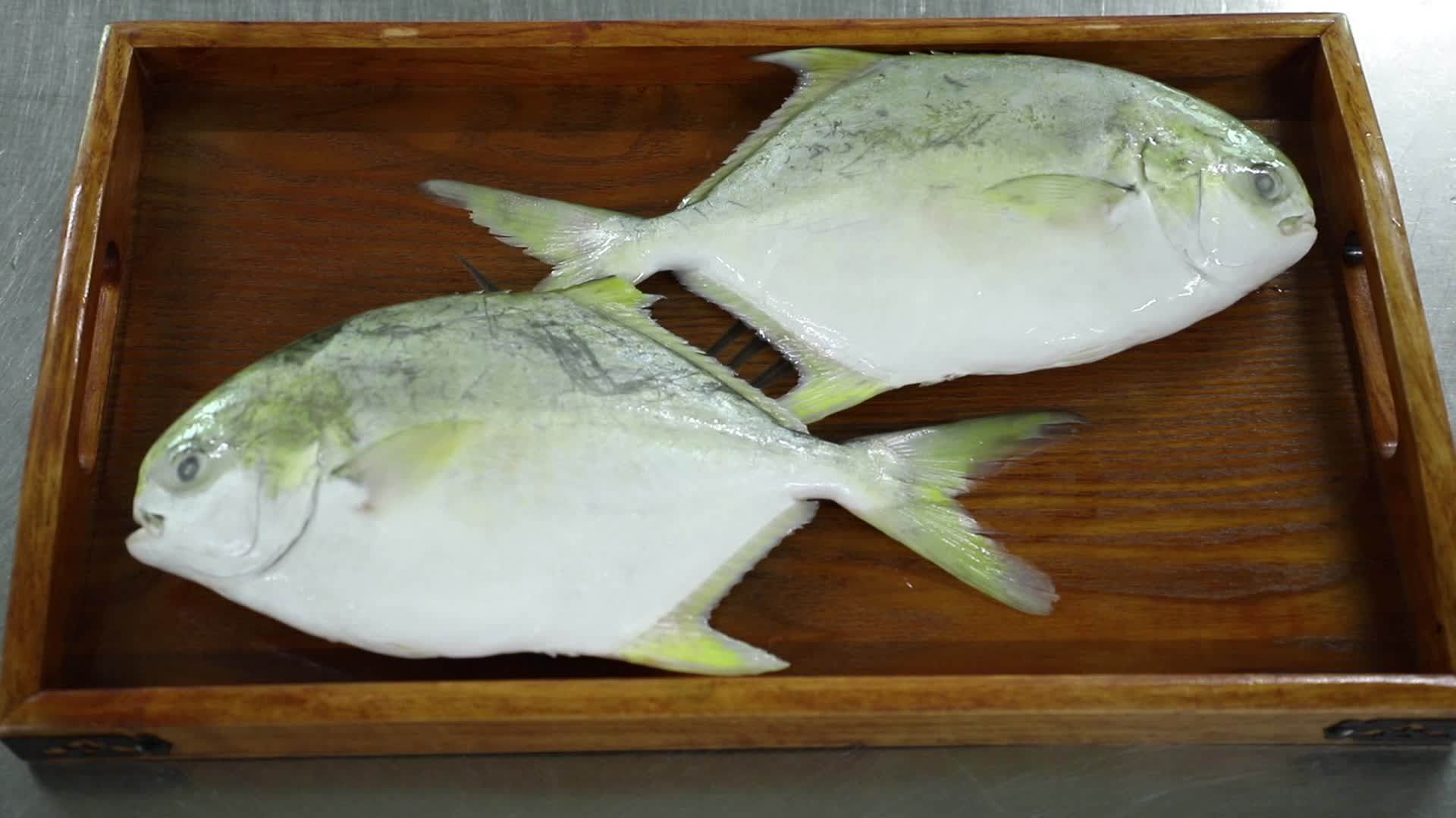 Frozen Golden Pompano Fish Pomfret Buy Pomfret,Frozen Golden Pompano