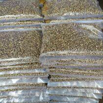 Copper air eye copper hollow rivets m2 3*4 spot series bulk wholesale