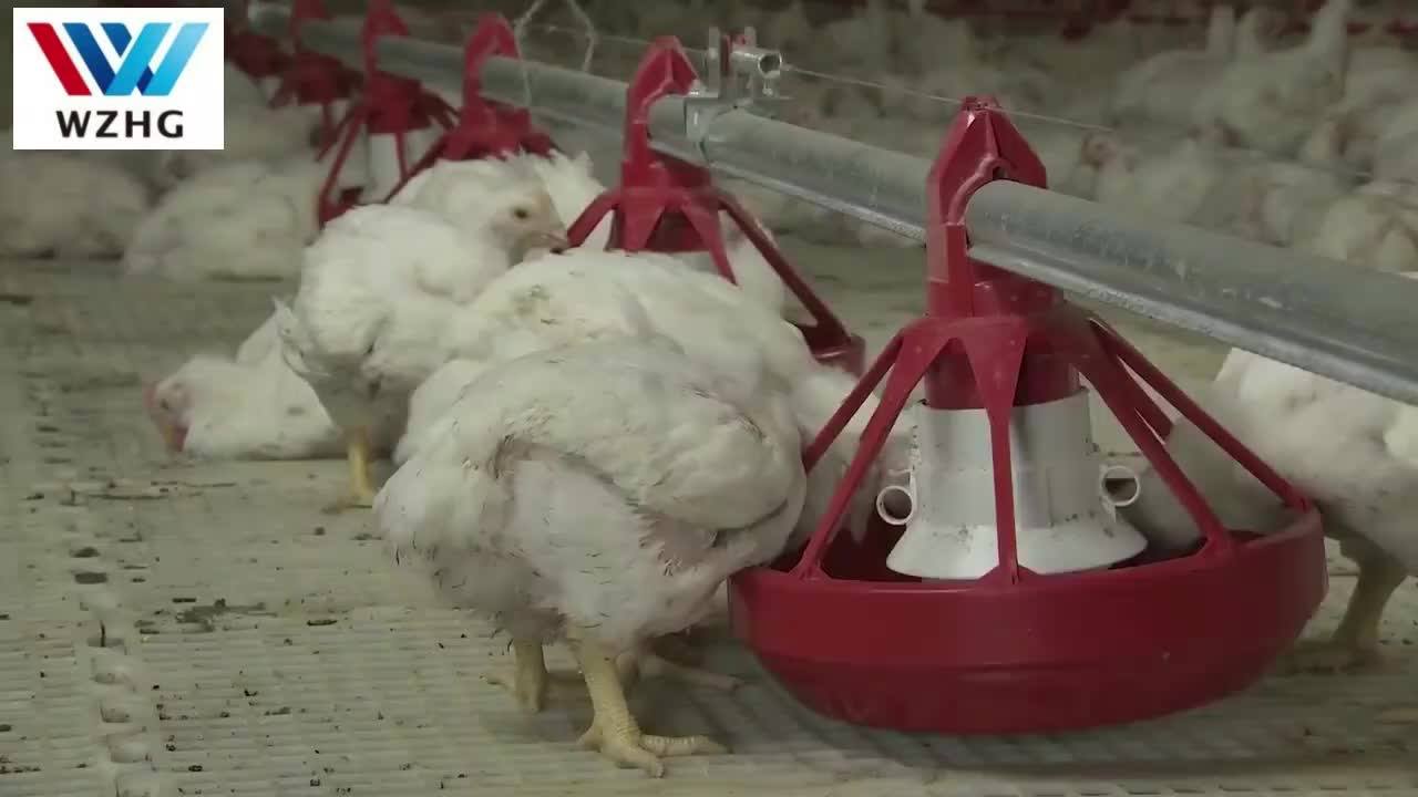 Steel Structure Prefab Insulated Chicken Shed Farm Poultry House In