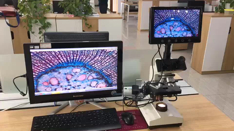 Best Seller Trinocular Biological Microscope With Screen,Connect To Pc