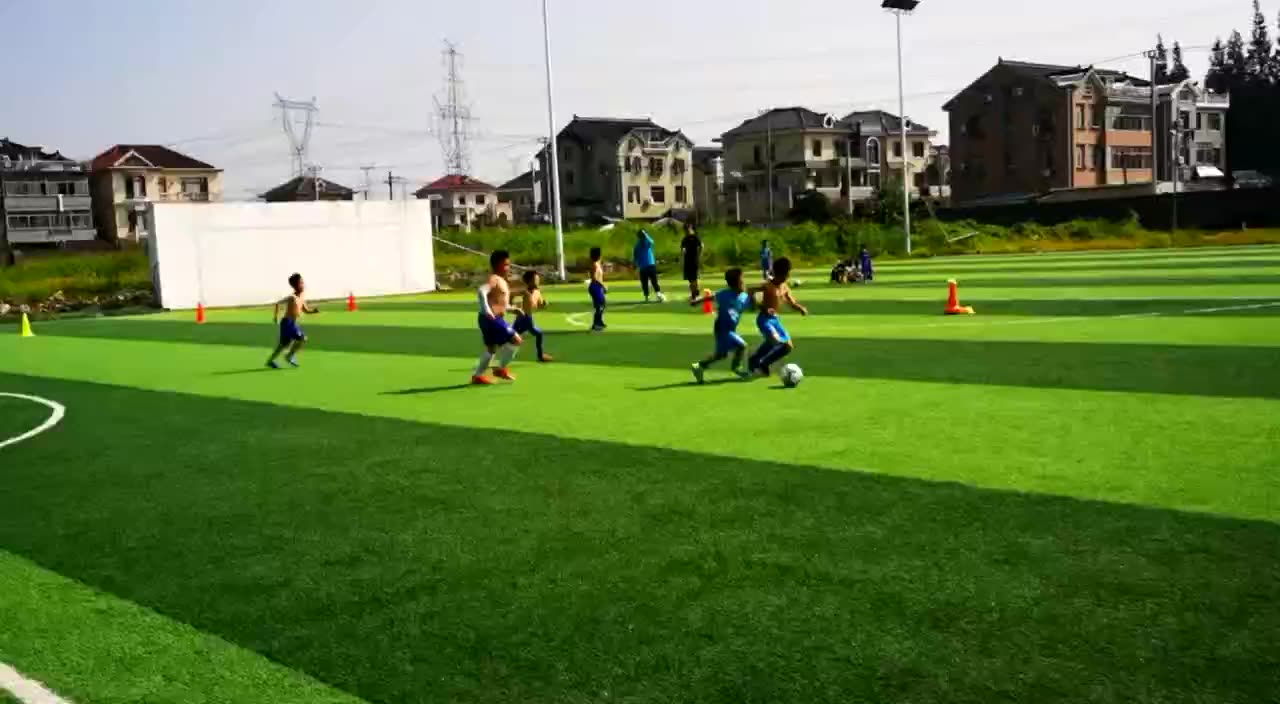 Artificial Turf Football