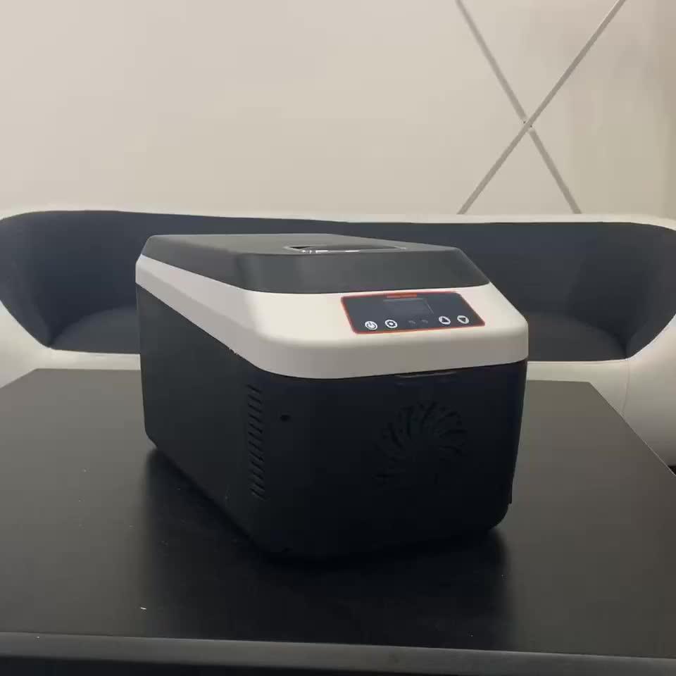 12 Liter 12v 240v Portable Camping Electric Cooler Box Car Refrigerator