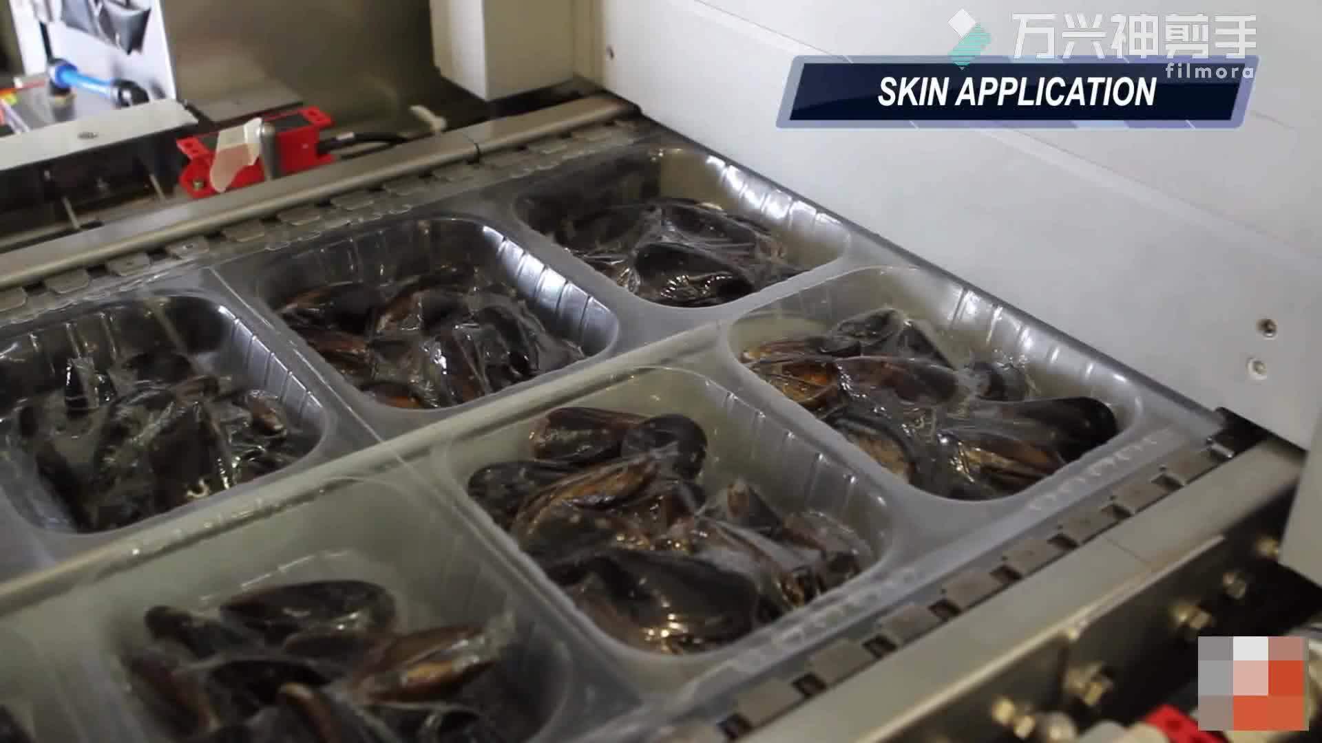 Automatic Vacuum Thermoforming Skin Packing Machine Equipment For