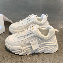 Nicole veve genuine leather old daddy shoes women ins tide autumn and winter new overfire this year the popular heightening movement Korean version