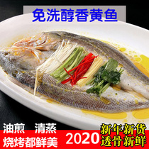 Uncle Yihu mellow skimmed dried yellow fish Delicious rhubarb fish delicious fresh seafood