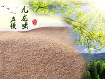 Kowloon worm excrement Kowloon worm excrement Foreign worm excrement Medicinal worm excrement