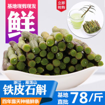 Haiyu Dendrobium Yueqing Yandang Mountain Feihuoshan fresh Dendrobium fresh strips 500 grams
