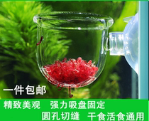 Glass red insect feeder fish tank feeding ring frozen plump shrimp red insect feeding fish floating cup small artifact transparent