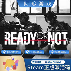 Steam Genuine Version Ready or Not China Region Activation Code Cdkey
