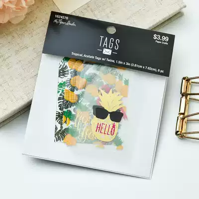 Judy hand transparent bronzing hipster TAG hand account material junkjournal partner 8 pieces