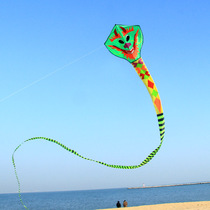 Weifang 40 m auspicious dragon kite faucet kite green snake kite reel children adult large high-grade easy fly