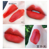 907 высушенный кленовый цвет листьев