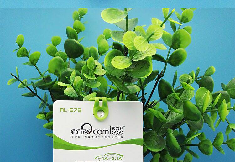 chargeur AOLEAKY 2A - Ref 1298059 Image 17