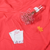 Photo background cloth ins hanging cloth net Red live broadcast background wall shooting photo props photography shake sound selfie Nordic