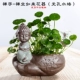 Zen nước văn hóa gốm không xốp chậu hoa bình hoa thịt chậu thoáng khí tiền cỏ thủy canh xanh trang trí cây xanh - Vase / Bồn hoa & Kệ