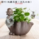 Zen nước văn hóa gốm không xốp chậu hoa bình hoa thịt chậu thoáng khí tiền cỏ thủy canh xanh trang trí cây xanh - Vase / Bồn hoa & Kệ