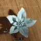 B2 Orchid (синий)