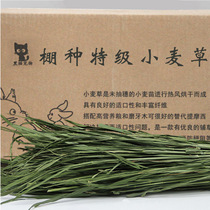 Black Cat Home Awhead Wheat Grass Hay Rabbit Hot Air Drying Rabbit Grass Rabbit Grass Dutch Pig Grass Pet Minke Grass