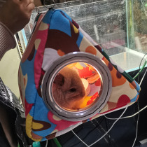 Squeak Dragon Cat Winter Warm Cotton Nest Resistant Bifacial Canvas Hammock Bed Triangle New Sleep Bed Over Winter Wood Nest House