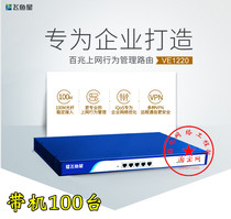 Feiyuxing VE1220 enterprise broadband router 4WAN Port Internet behavior management VPN firewall speed limit
