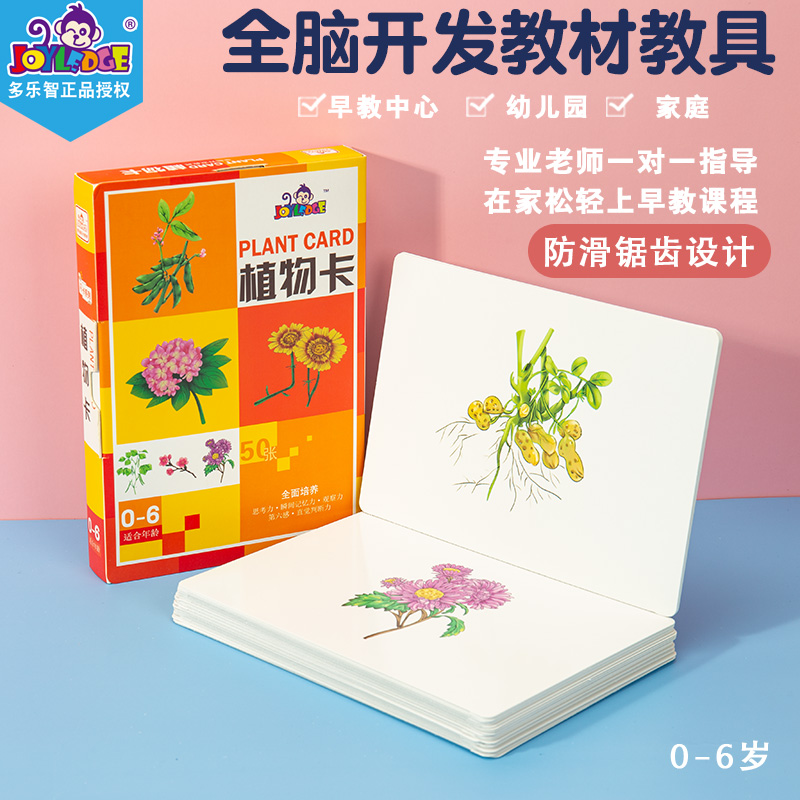 Duman Early teaches Dormusic Encyclopedia Plant Flashcard Infant Right Brain Potential Development Cognitive Literacy Card