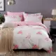 Fu Anna 100% cotton quilt đơn mảnh bông đơn sinh viên quilt 200x230 đôi 1,5m giường 1,8 m chăn lụa tơ tằm