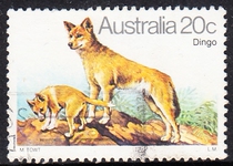 Australian Letter Marketing Stamps 1980 Dog 5-1: Dingo