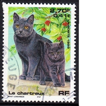 French Letter Marketing Stamps 1999 Domestic Pets 4-1: Carter Cat