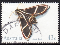Australian Letter Sales Stamps 1991 Insects 4-2: Hawkmoth