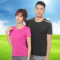 Snow wolf quick-drying T-shirt summer middle-aged men and women short-sleeved sports fitness undershirt outdoor yoga quick-drying clothes