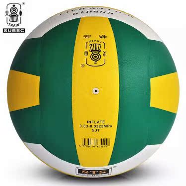 Ballon de volley - Ref 2010046 Image 9