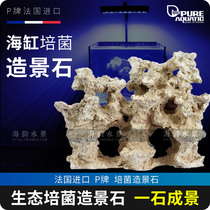 P brand landscaping stone overall ecological cultivation bacteria landscaping stone seawater fish tank landscaping stone shape-free explosion algae