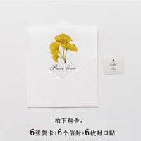 Промывка песка 4 Zhangxin Sea