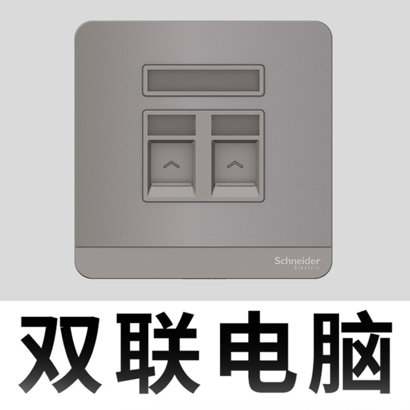 Schneider Switch Socket Panel FASHION FLUORESCENT GREY DOUBLE UNITED COMPUTER SOCKET INFORMATION PANEL