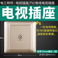 Золотая телевизионная розетка