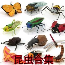 Paper mold making DIY handmade puzzle 3D three-dimensional paper model insect scorpion Dragonfly butterfly bee knows Spider