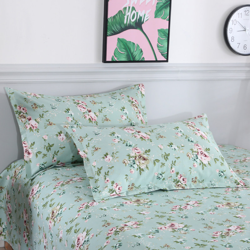 Pillow single cute student dormitory 40 x 60 cm adult buckwheat shell pillow core plus pillowcase summer cool pillow