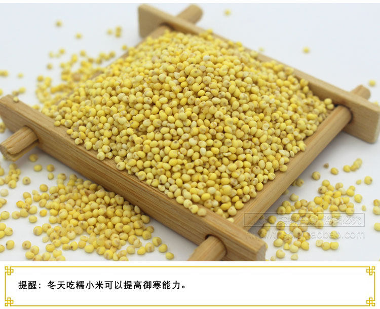 黍米和小米有什么区别,黍米与小米的区别,粟米和小米的区别_大山谷图库