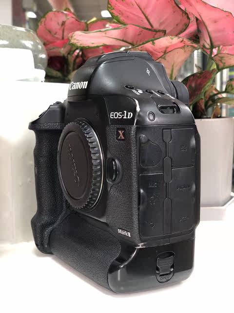 Canon 1DX2