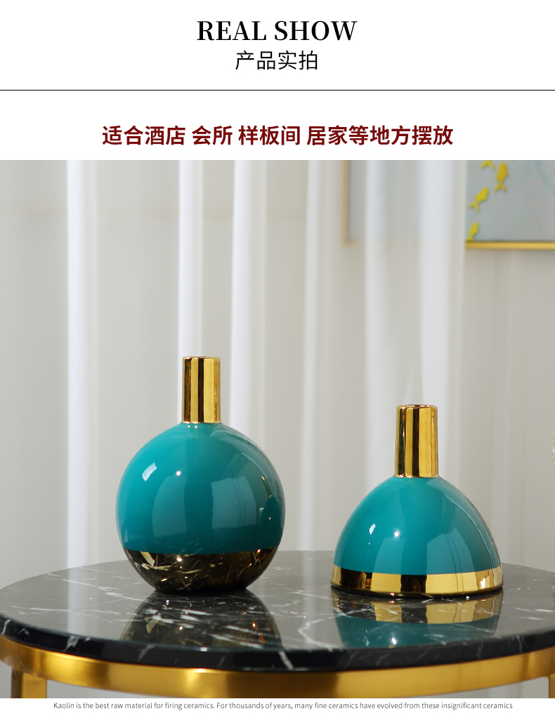 Modern light and decoration ceramics floret bottle sitting room of TV ark, wine porch desktop furnishing articles flower arranging, home decoration