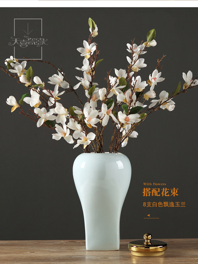 Modern Chinese style simple creative ceramic household act the role ofing is tasted wine storage tank furnishing articles, the sitting room porch example room decoration