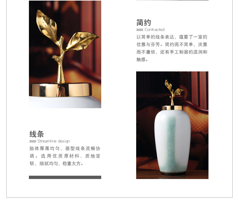 新中式轻奢陶瓷花瓶插花摆件创意客厅电视柜酒柜储物罐家居装饰品