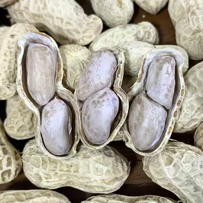 Thank you Xiong boutique Xinlongyan boiled white dried plain wet roasted farmhouse salt salty dried five garlic salty crispy peanuts