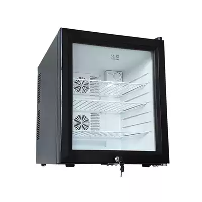 Youcong 40L double core Refrigeration School kindergarten food storage sample refrigerator hotel room refrigerator with lock