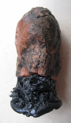 Странная рыба Шанзи-Гоби Камень Гоби нефритовая пустыня Ала Сала Агат (просмотр камня)