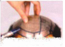 Extension mèches - Ref 225713 Image 55