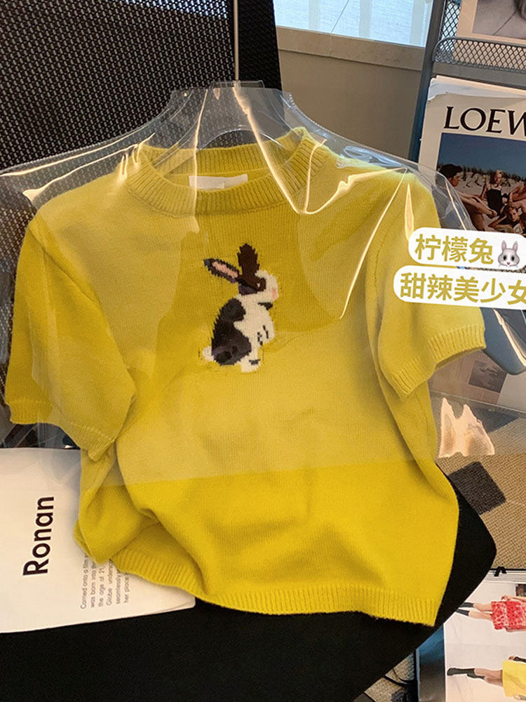 Shake-up supplier Summer new embroidered knit cardiovert Korean version design small crowd bubble sleeves easy to thin blouses woman