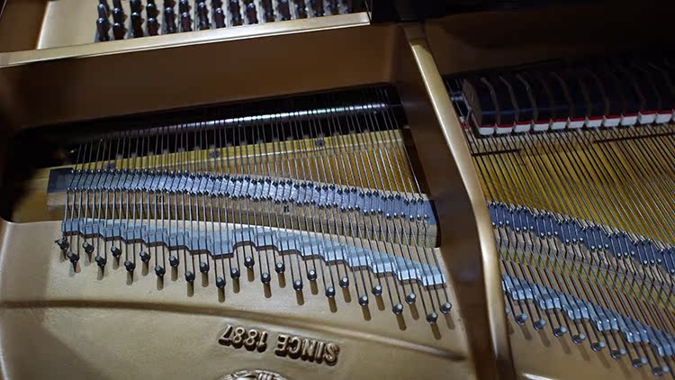 Yamaha Yamaha A1S nhập khẩu piano chơi piano grand piano gia đình grand piano nhỏ có chức năng tắt tiếng đàn piano rẻ